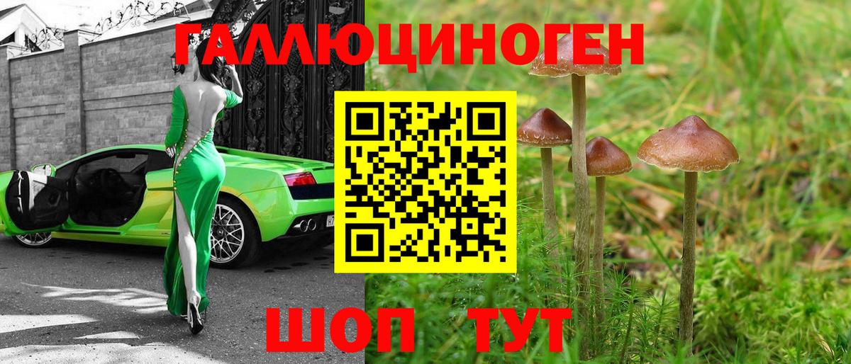 Галлюциногенные грибы мухоморы Дубна
