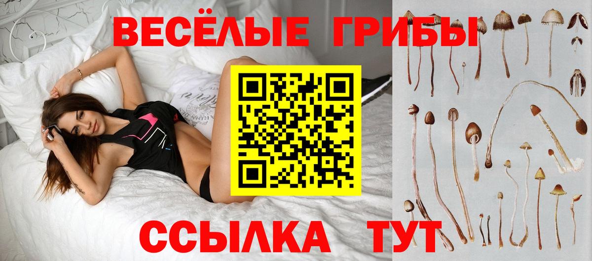 Галлюциногенные грибы MAGIC MUSHROOMS  Вход с VPN  Дубна 
